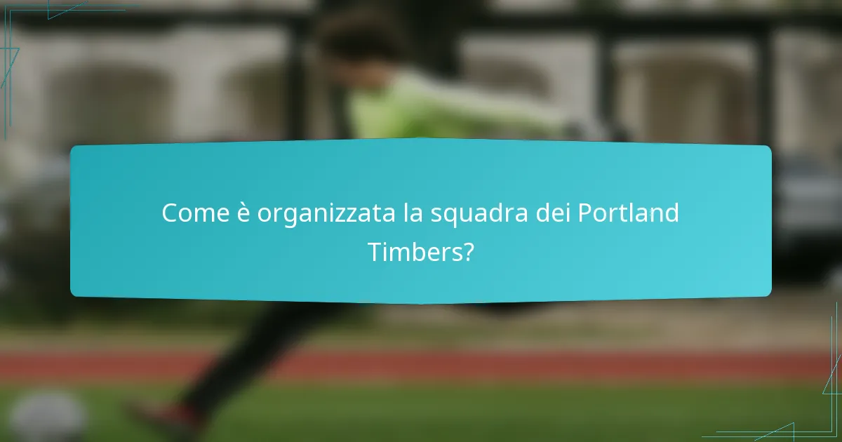 Come è organizzata la squadra dei Portland Timbers?